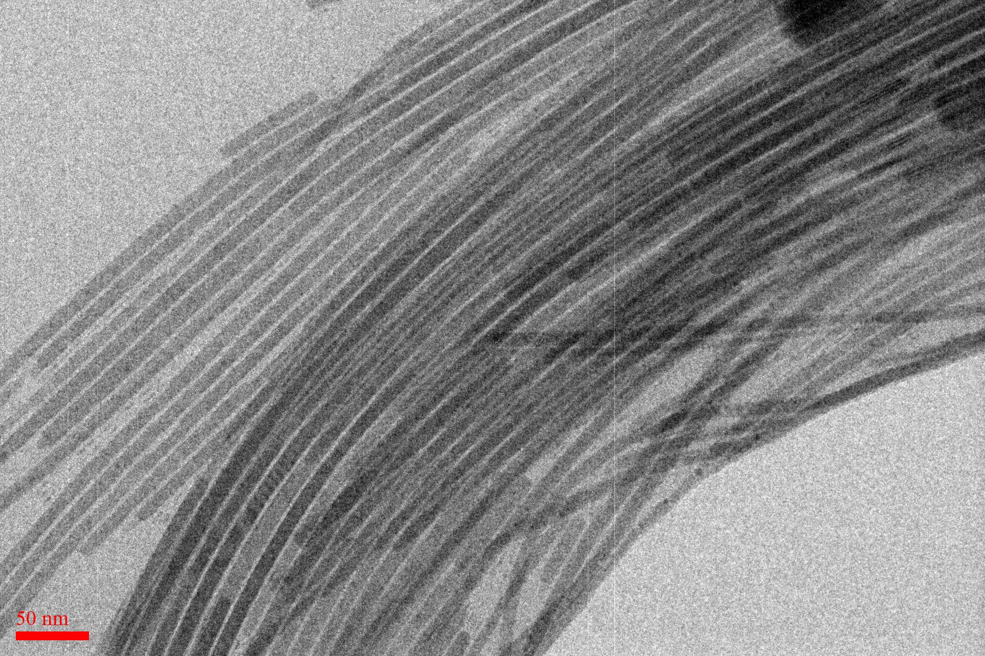 SEM image of perovskite nanowires